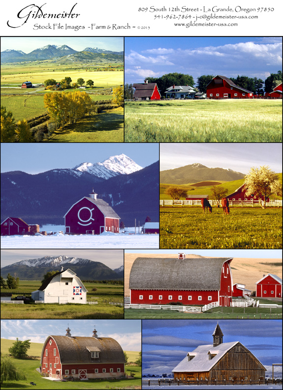 Gildemeister Stock Photos - Farm & Ranch